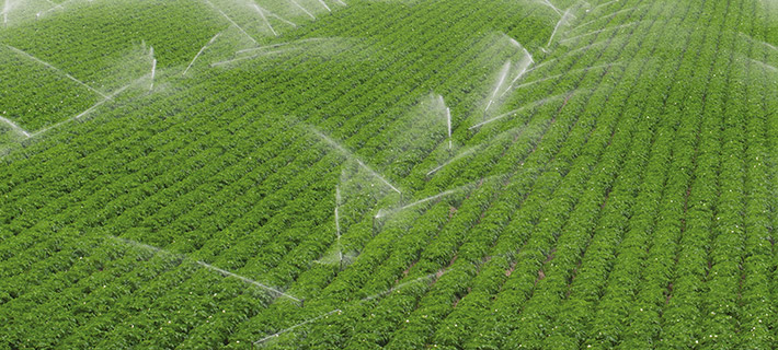 sulama çeşitleri rainbird sulama